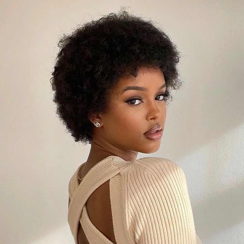 Flash Sale | Natural Afro Glueless Wig Human Hair Wig-02