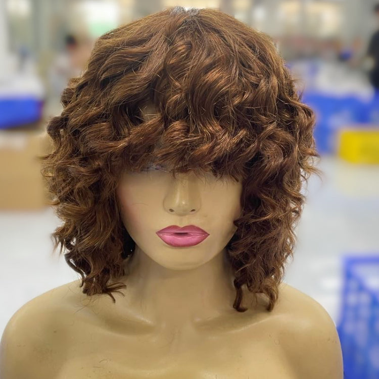 Worth |Super Hot Brazilian Hair Wig 100% Human Hair