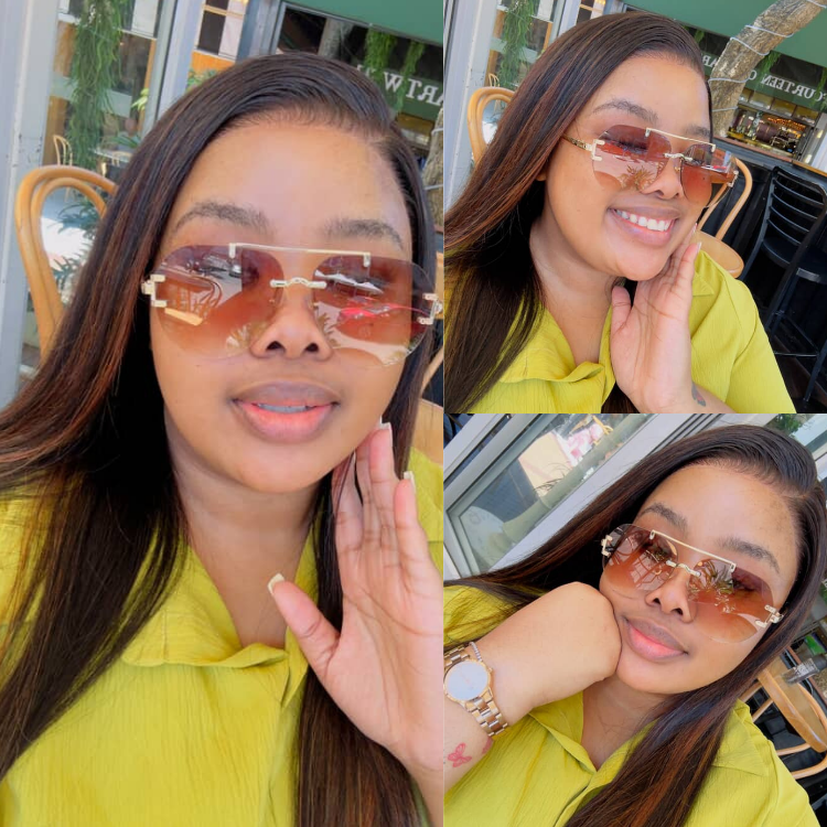 [paballokgware]'s Special Link PreMax Wigs | Ultra Natural Hairline Brown Highlight & Natural Black Silky Straight Glueless 13x4 Frontal Lace Long Wig Pre-Cut Lace-01