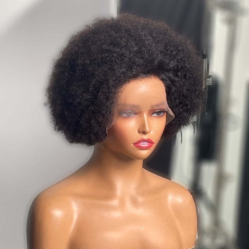 Readytogo Afro Curly Glueless 13x2 Frontal Lace Wig